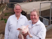 two men holding a pig